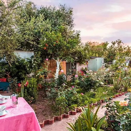 Summer Rose Garden Getaway - A Step To The